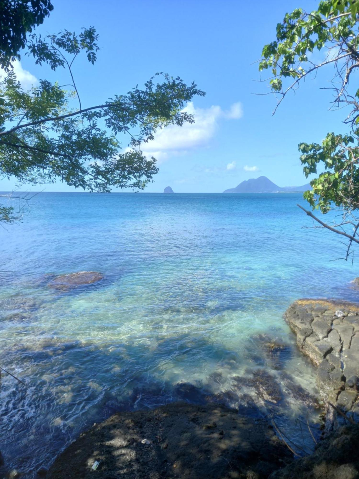 Appartement A Anse Mabouya En Rez De Jardin Avec Piscine A Proximite Des Plages Sainte-Luce Luaran gambar